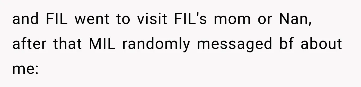 and FIL went to visit FIL's mom or Nan, after that MIL randomly messaged bf about me: