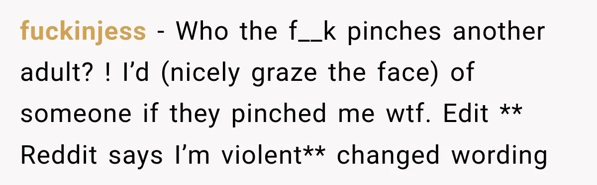 fuckinjess − Who the f__k pinches another adult? ! I’d (nicely graze the face) of someone if they pinched me wtf. Edit ** Reddit says I’m violent** changed wording