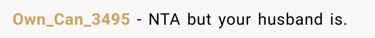 Own_Can_3495 − NTA but your husband is.
