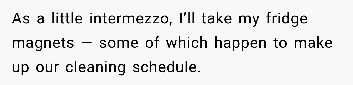 As a little intermezzo, I’ll take my fridge magnets — some of which happen to make up our cleaning schedule.