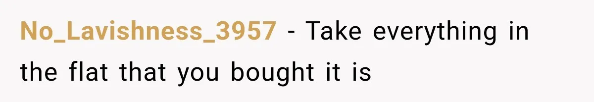 No_Lavishness_3957 − Take everything in the flat that you bought it is