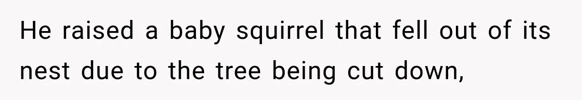 He raised a baby squirrel that fell out of its nest due to the tree being cut down,