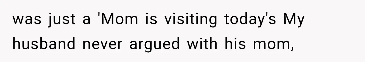 was just a 'Mom is visiting today's My husband never argued with his mom,