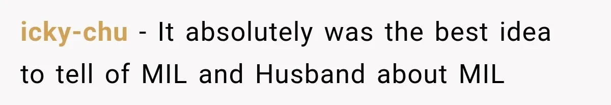 icky-chu − It absolutely was the best idea to tell of MIL and Husband about MIL