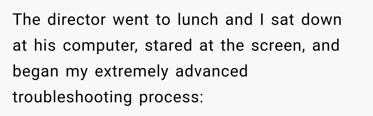 The director went to lunch and I sat down at his computer, stared at the screen, and began my extremely advanced troubleshooting process: