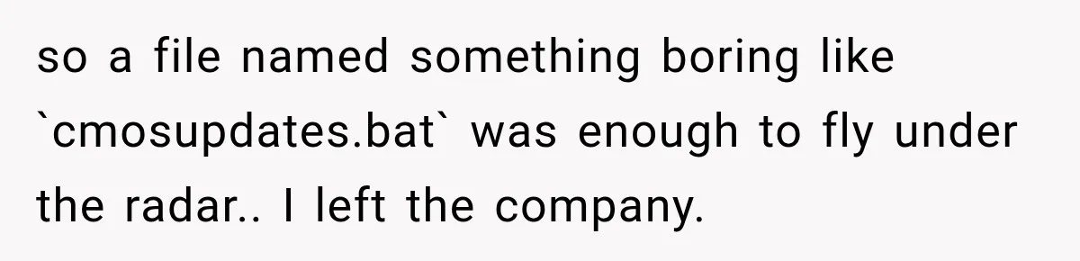 so a file named something boring like `cmosupdates.bat` was enough to fly under the radar.. I left the company.