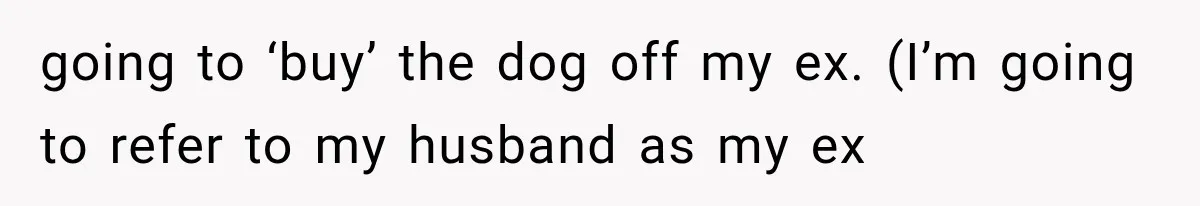 going to ‘buy’ the dog off my ex. (I’m going to refer to my husband as my ex
