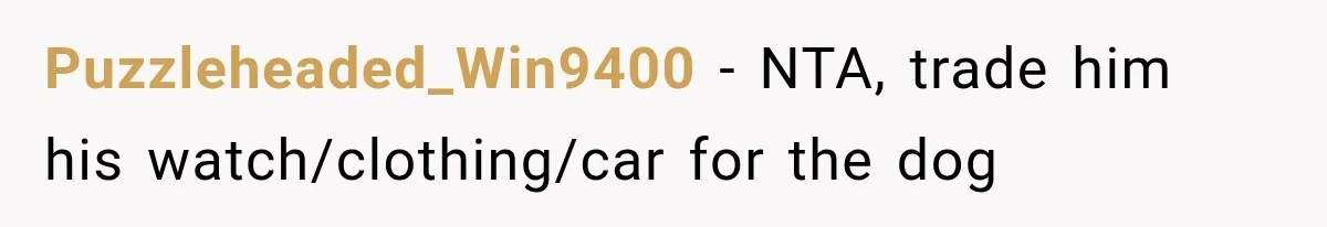 Puzzleheaded_Win9400 − NTA, trade him his watch/clothing/car for the dog