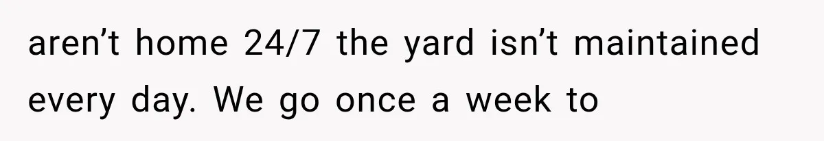 Grandmother Gave Her Granddaughter an Old House, Then Demanded It Back After She Spent $100K Restoring It aren’t home 24/7 the yard isn’t maintained every day. We go once a week to