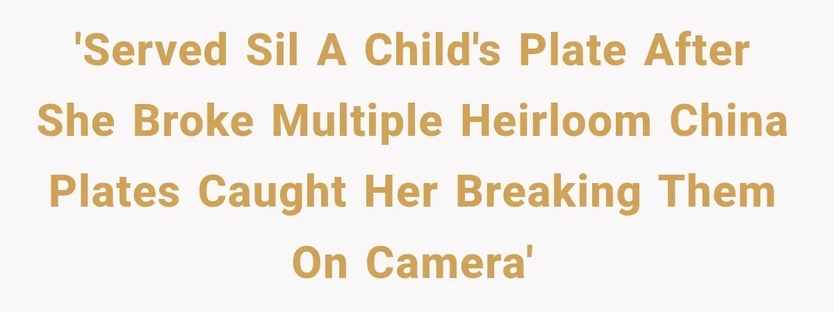 'Served sil a child's plate after she broke multiple heirloom china plates caught her breaking them on camera'