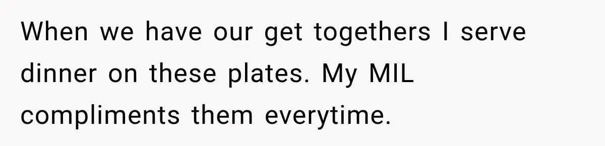When we have our get togethers I serve dinner on these plates. My MIL compliments them everytime.