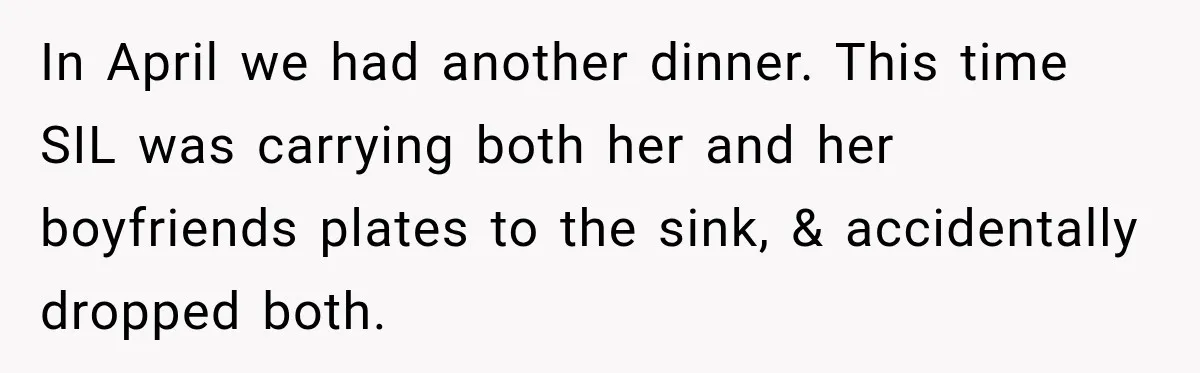 In April we had another dinner. This time SIL was carrying both her and her boyfriends plates to the sink, & accidentally dropped both.