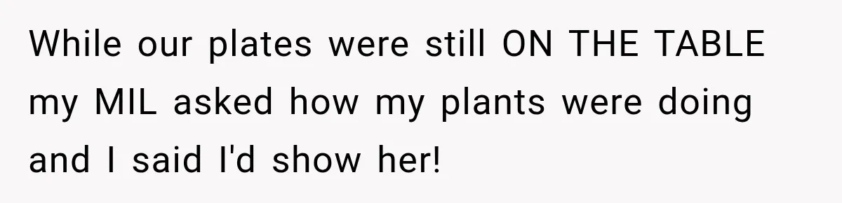 While our plates were still ON THE TABLE my MIL asked how my plants were doing and I said I'd show her!