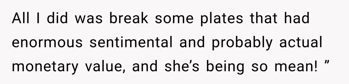 All I did was break some plates that had enormous sentimental and probably actual monetary value, and she’s being so mean! ”