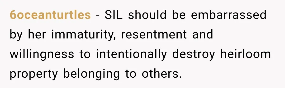 6oceanturtles − SIL should be embarrassed by her immaturity, resentment and willingness to intentionally destroy heirloom property belonging to others.