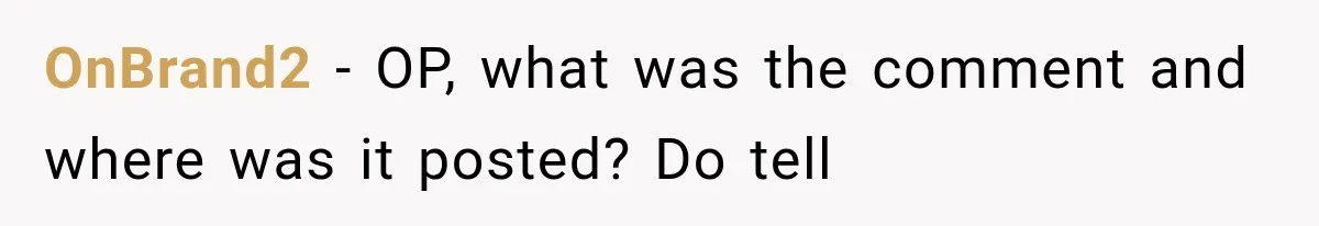 MIL Fakes Her Husband’s Death to See Her Son, Then Years Later the Same Tragedy Happens Again OnBrand2 − OP, what was the comment and where was it posted? Do tell