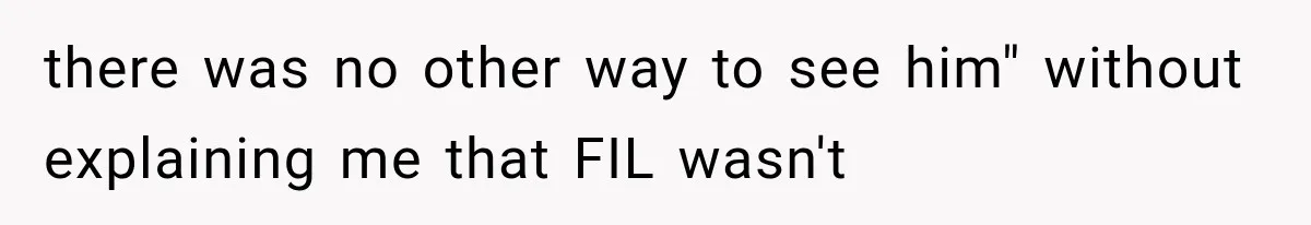 MIL Fakes Her Husband’s Death to See Her Son, Then Years Later the Same Tragedy Happens Again there was no other way to see him" without explaining me that FIL wasn't