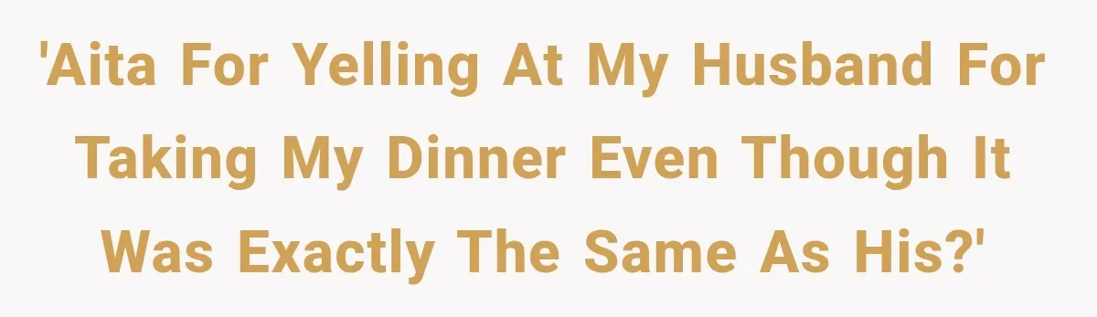 'AITA for yelling at my husband for taking my dinner even though it was exactly the same as his?'