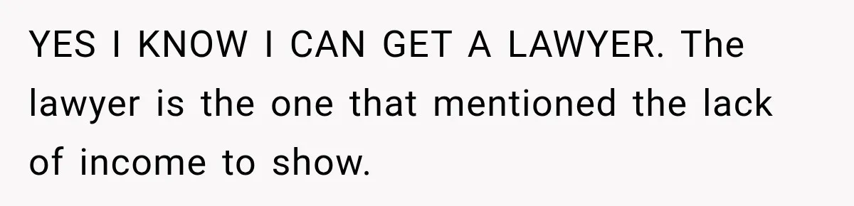 YES I KNOW I CAN GET A LAWYER. The lawyer is the one that mentioned the lack of income to show.