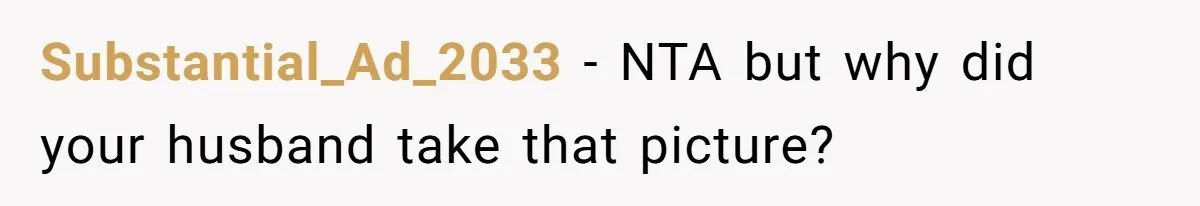 Substantial_Ad_2033 − NTA but why did your husband take that picture?