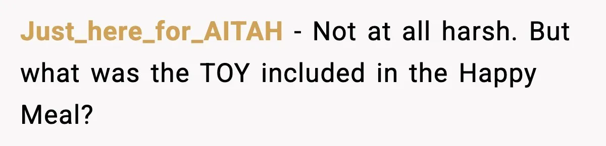 Just_here_for_AITAH − Not at all harsh. But what was the TOY included in the Happy Meal?