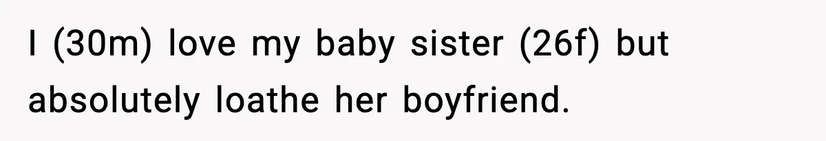 I (30m) love my baby sister (26f) but absolutely loathe her boyfriend.