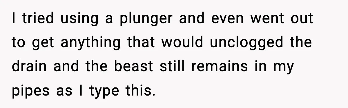 I tried using a plunger and even went out to get anything that would unclogged the drain and the beast still remains in my pipes as I type this.
