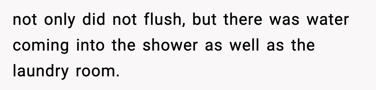 not only did not flush, but there was water coming into the shower as well as the laundry room.