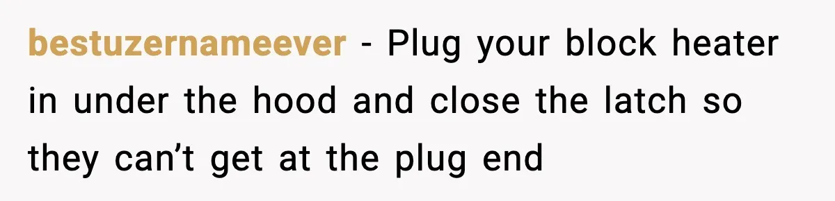 Neighbor Kept Stealing Electricity From Their Truck, So They Finally Took Action bestuzernameever − Plug your block heater in under the hood and close the latch so they can’t get at the plug end