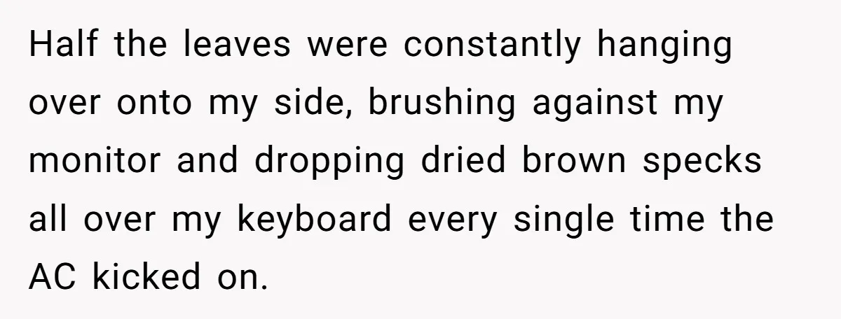 Half the leaves were constantly hanging over onto my side, brushing against my monitor and dropping dried brown specks all over my keyboard every single time the AC kicked on.