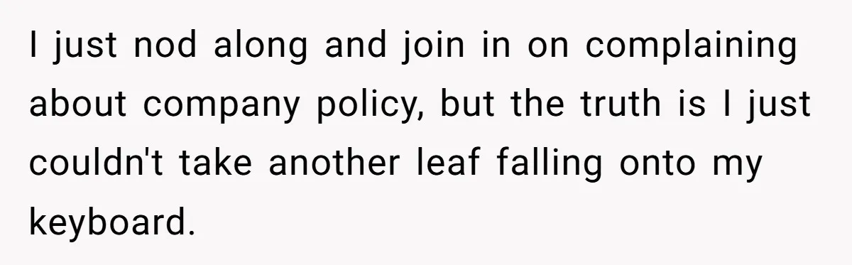 I just nod along and join in on complaining about company policy, but the truth is I just couldn't take another leaf falling onto my keyboard.