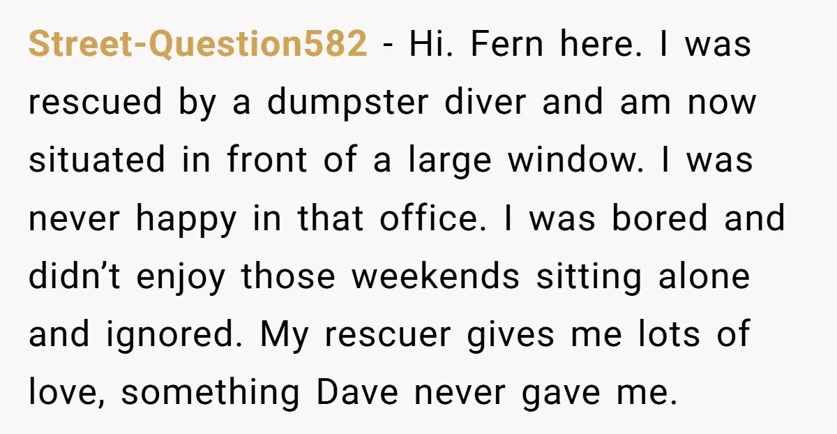 Street-Question582 − Hi. Fern here. I was rescued by a dumpster diver and am now situated in front of a large window. I was never happy in that office. I...