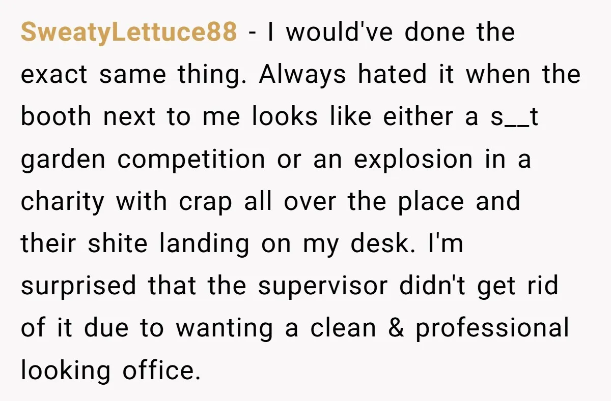 SweatyLettuce88 − I would've done the exact same thing. Always hated it when the booth next to me looks like either a s__t garden competition or an explosion in a...