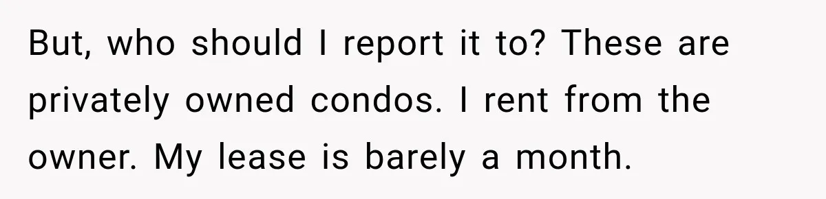 But, who should I report it to? These are privately owned condos. I rent from the owner. My lease is barely a month.