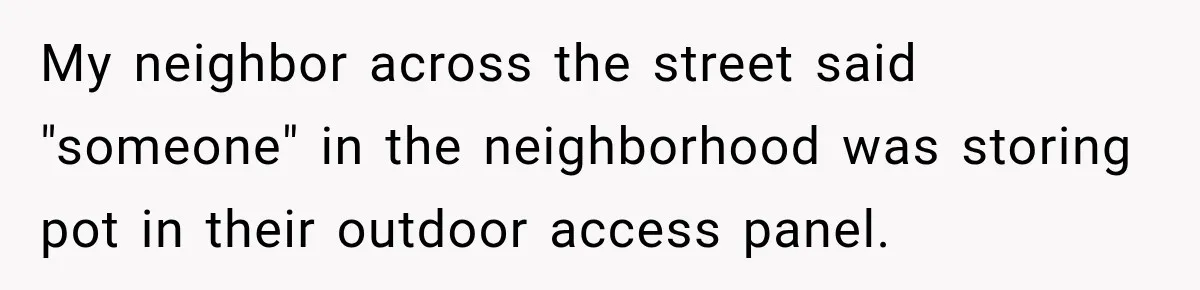 My neighbor across the street said "someone" in the neighborhood was storing pot in their outdoor access panel.