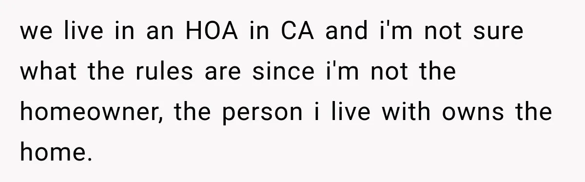 we live in an HOA in CA and i'm not sure what the rules are since i'm not the homeowner, the person i live with owns the home.