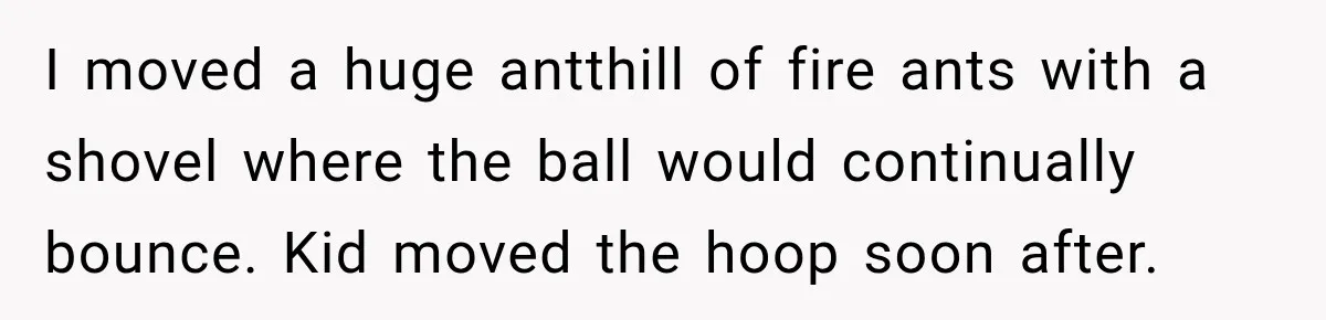 I moved a huge antthill of fire ants with a shovel where the ball would continually bounce. Kid moved the hoop soon after.