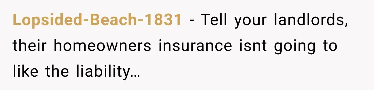 Lopsided-Beach-1831 − Tell your landlords, their homeowners insurance isnt going to like the liability…