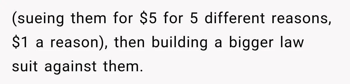 (sueing them for $5 for 5 different reasons, $1 a reason), then building a bigger law suit against them.