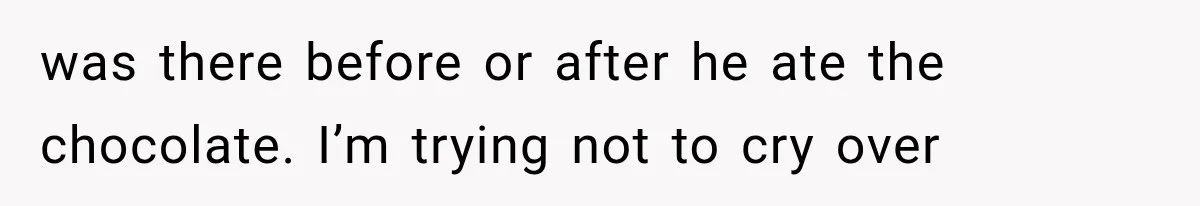 was there before or after he ate the chocolate. I’m trying not to cry over