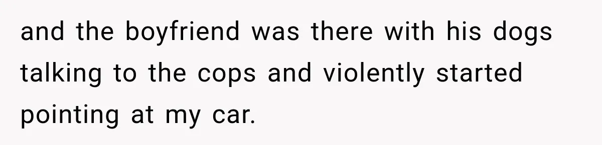 and the boyfriend was there with his dogs talking to the cops and violently started pointing at my car.