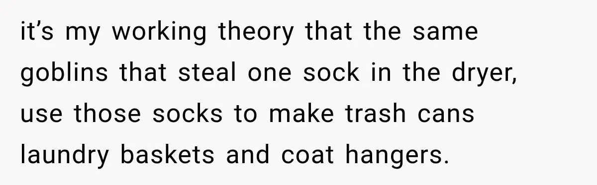 it’s my working theory that the same goblins that steal one sock in the dryer, use those socks to make trash cans laundry baskets and coat hangers.