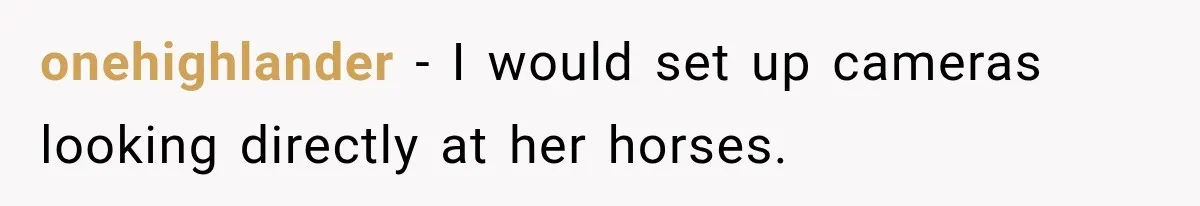 onehighlander − I would set up cameras looking directly at her horses.