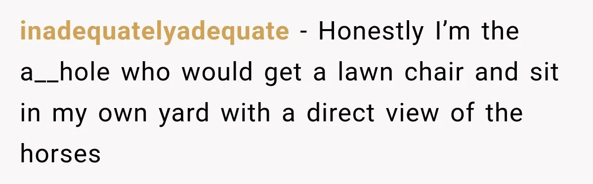 inadequatelyadequate − Honestly I’m the a__hole who would get a lawn chair and sit in my own yard with a direct view of the horses
