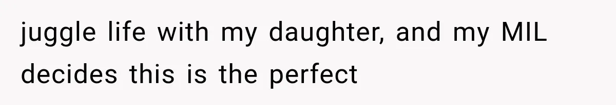 Her MIL Questioned Her Parenting While She Was 8 Months Pregnant, So She Finally Set Boundaries juggle life with my daughter, and my MIL decides this is the perfect