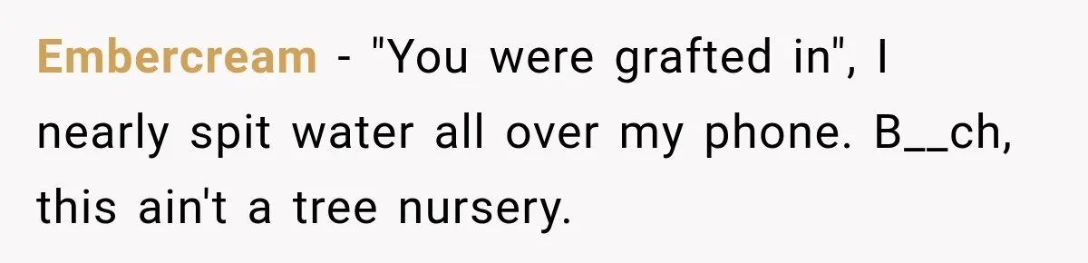 Her MIL Questioned Her Parenting While She Was 8 Months Pregnant, So She Finally Set Boundaries Embercream − "You were grafted in", I nearly spit water all over my phone. B__ch, this ain't a tree nursery.