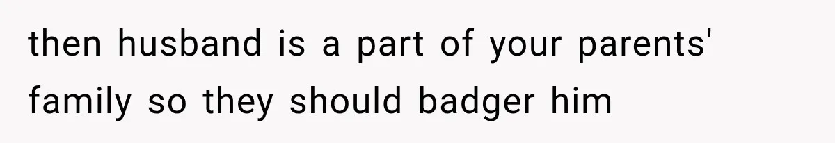Her MIL Questioned Her Parenting While She Was 8 Months Pregnant, So She Finally Set Boundaries then husband is a part of your parents' family so they should badger him