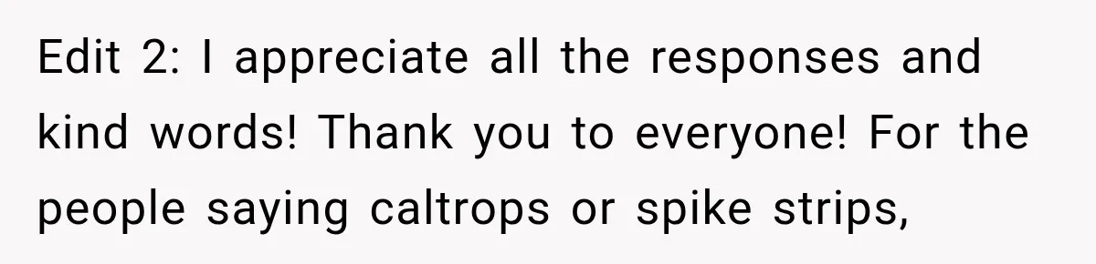 Woman Gets Called a Karen for Asking Neighbors to Stop Treating Her Driveway Like Their Own Edit 2: I appreciate all the responses and kind words! Thank you to everyone! For the people saying caltrops or spike strips,