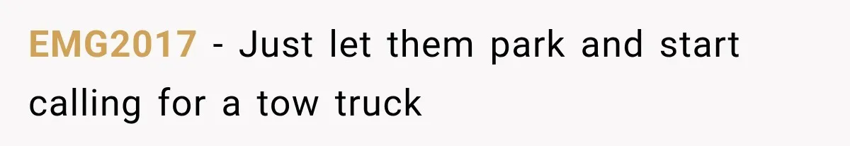 Woman Gets Called a Karen for Asking Neighbors to Stop Treating Her Driveway Like Their Own EMG2017 − Just let them park and start calling for a tow truck