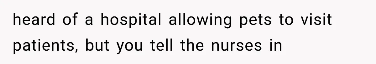 heard of a hospital allowing pets to visit patients, but you tell the nurses in